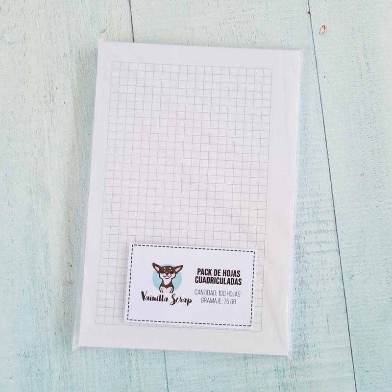 PACK DE HOJAS CUADRICULADAS PARA AGENDA (100 HOJAS)