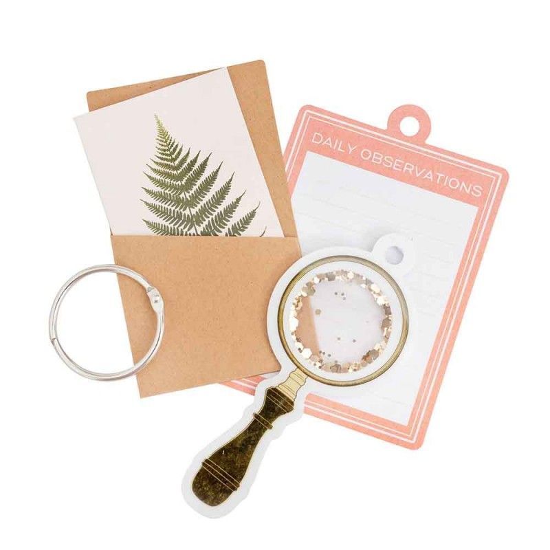 ETIQUETAS CON ANILLO FERNWOOD (13 PCS)