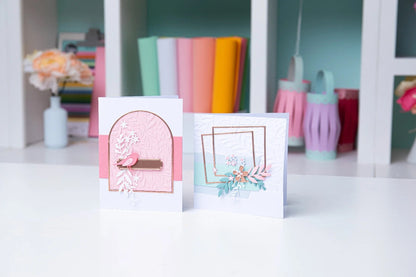 KIT DE INICIO BIG SHOT (BLANCA Y GRIS) SIZIZX