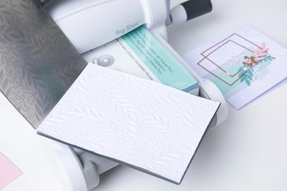 KIT DE INICIO BIG SHOT (BLANCA Y GRIS) SIZIZX