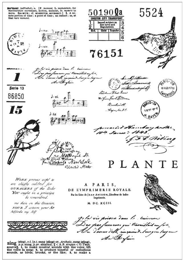 SELLOS Y TROQUELES CANTO DE PAJARO SIZZIX (28 PCS)