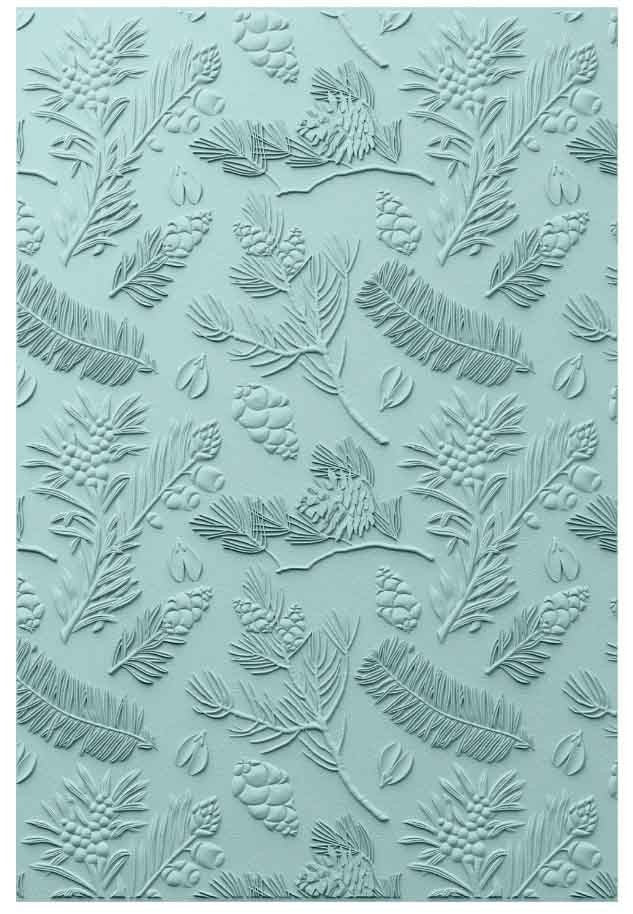 FOLDER DE EMBOSSING PINOS A5 SIZZIX (1 PC)