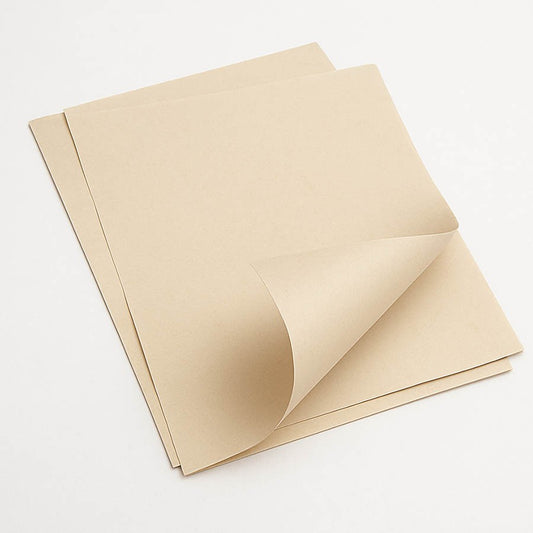 CARTULINA ECOLOGICA 250 GRS 30.5CM X 30.5 CM (6 HOJAS)