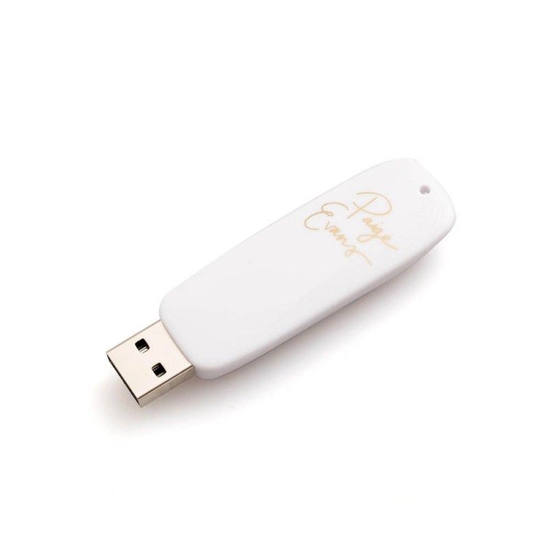 MEMORIA USB CON DISEÑOS PARA FOIL QUILL PAIGE EVANS