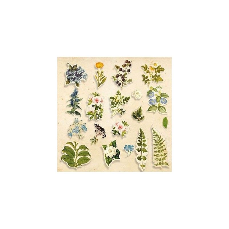 DIE CUTS COLECCION "BOTANY SUMMER" 59 PCS