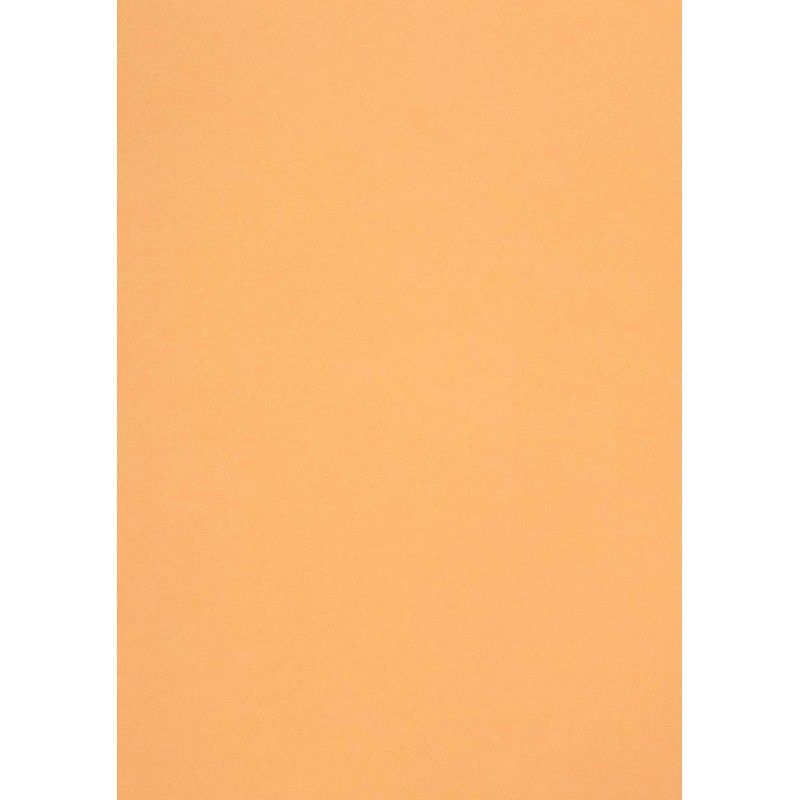 CARTULINA POPSET APRICOT 170 GR 14cm x 22cm (10 HOJAS)