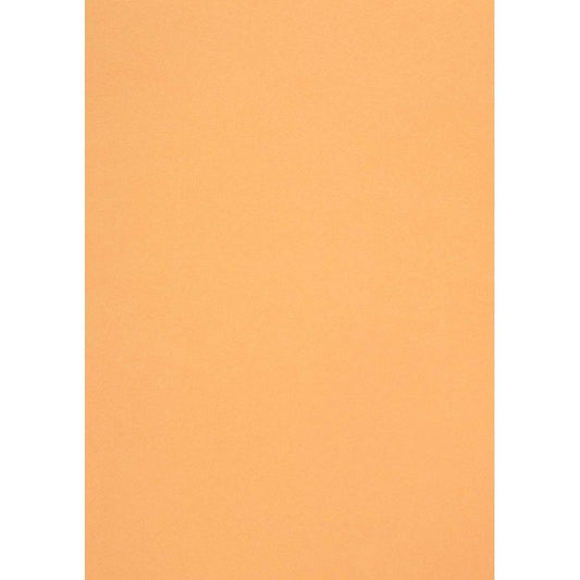 CARTULINA POPSET APRICOT 170 GR 14cm x 22cm (10 HOJAS)