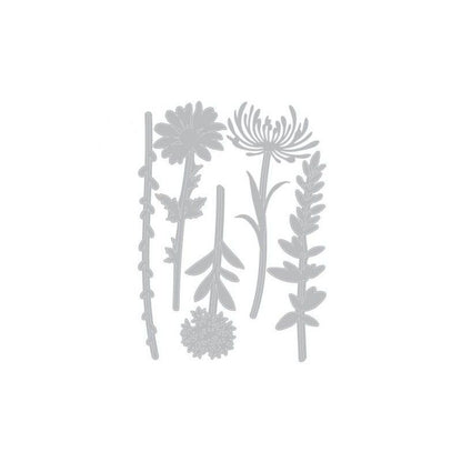 TROQUEL THINLITS TALLOS DE FLORES SILVESTRES (5 PCS) DE TIM HOLTZ