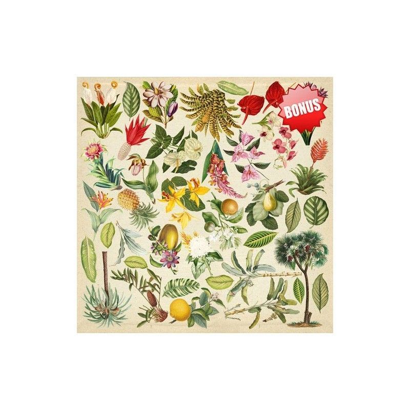 SET DE PAPELES BOTANY EXOTIC (30 X 30 CM)
