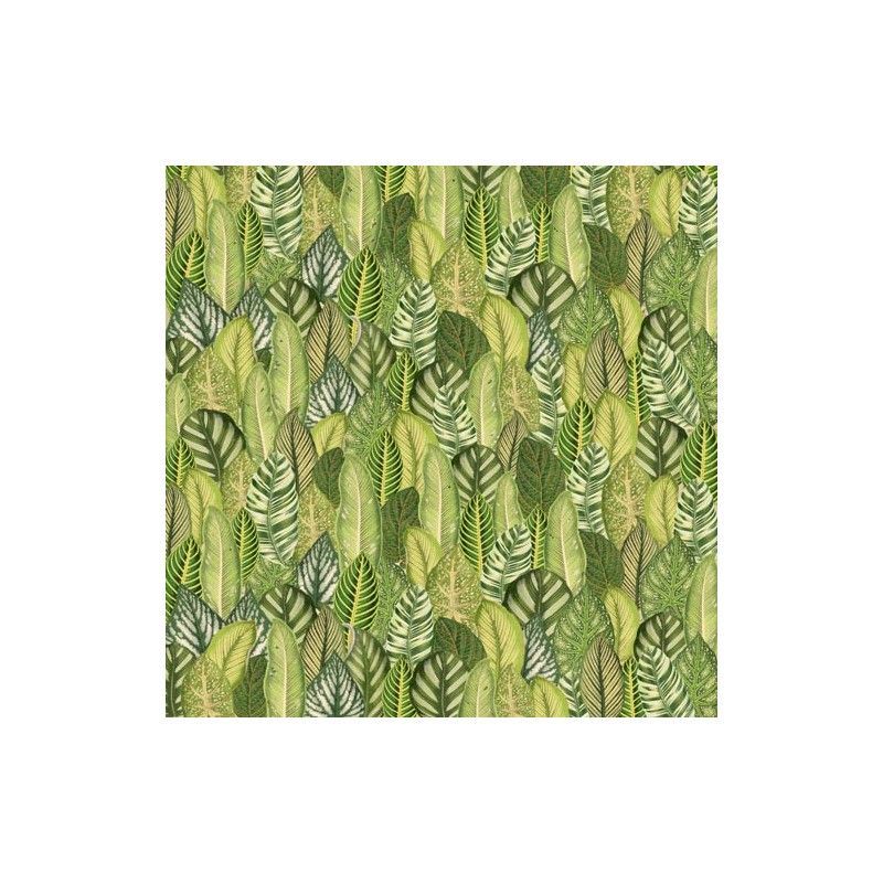 SET DE PAPELES BOTANY EXOTIC (30 X 30 CM)