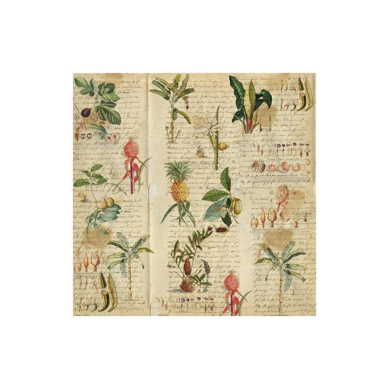 SET DE PAPELES BOTANY EXOTIC (30 X 30 CM)