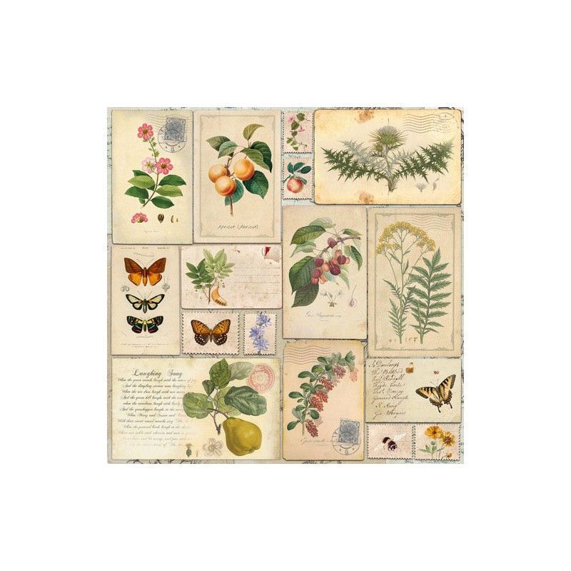 SET DE PAPELS SUMMER BOTANICAL DIARY 30.5CM X 30.5CM