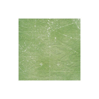 SET DE PAPELS SUMMER BOTANICAL DIARY 30.5CM X 30.5CM