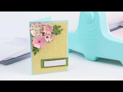 MINI EVOLUTION LILA WE R